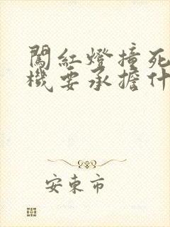 闯红灯撞死人司机要承担什么责任