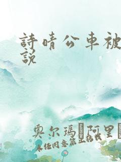 诗晴公车被入小说