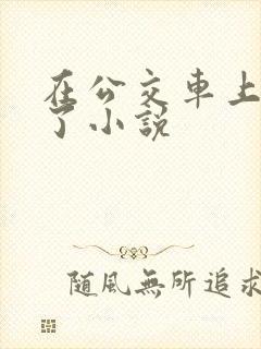 在公交车上被上了小说