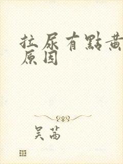 拉尿有点黄什么原因