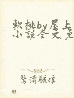 软桃by屋上乌小说全文免费阅读无弹窗笔趣