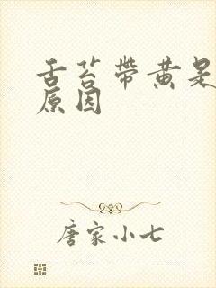 舌苔带黄是什么原因