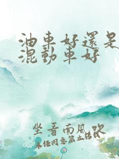 油车好还是油电混动车好