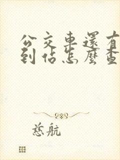 公交车还有多久到站怎么查