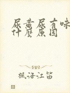 尿黄尿有味道是什么原因