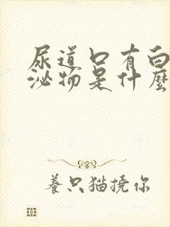 尿道口有白色分泌物是什么原因