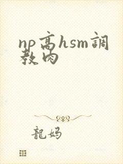 np高hsm调教肉