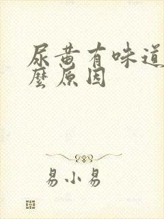 尿黄有味道是什么原因