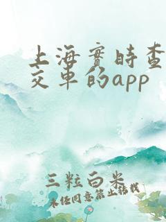 上海实时查询公交车的app
