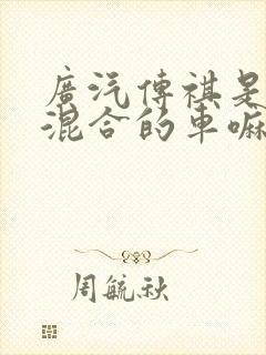 广汽传祺是油电混合的车嘛