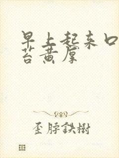 早上起来口苦舌苔黄厚