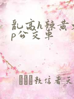 乱高h辣黄文np公交车