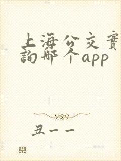 上海公交实时查询哪个app