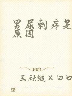 男尿刺疼是什么原因