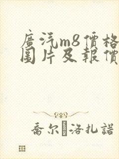 广汽m8价格及图片及报价大全