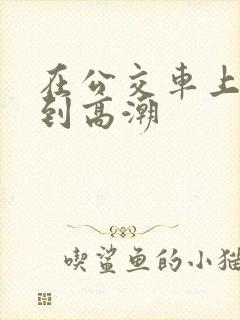 在公交车上被奸到高潮
