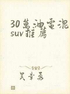 30万油电混动suv推荐