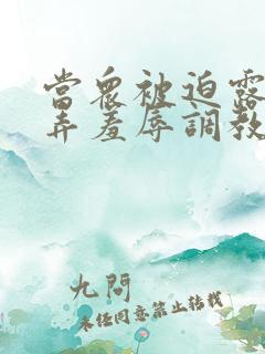 当众被迫露出玩弄羞辱调教女小说