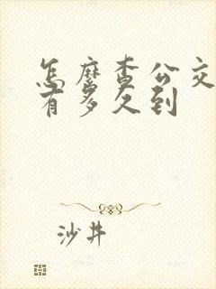 怎么查公交车还有多久到