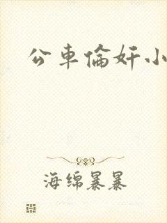 公车伦奸小说