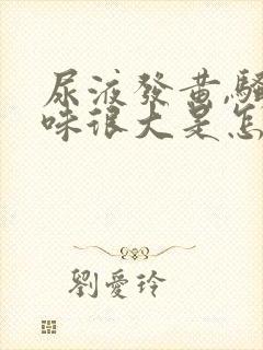 尿液发黄,骚臭味很大是怎么回事