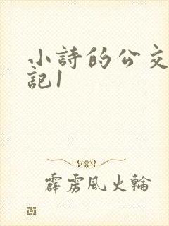 小诗的公交车日记1
