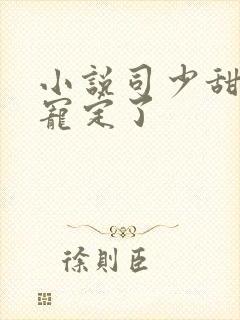小说司少甜妻,宠定了