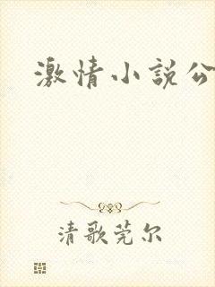 激情小说公交