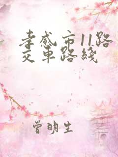 孝感市11路公交车路线
