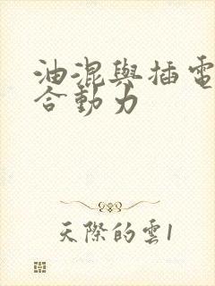 油混与插电式混合动力