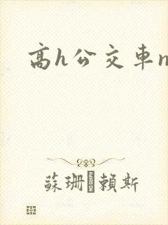 高h公交车np