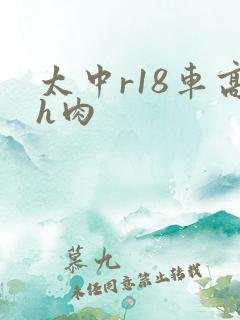 太中r18车高h肉
