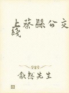 上蔡县公交车路线