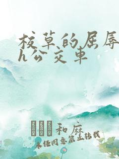 校草的屈辱调教h公交车