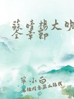 苏晴杨大明小说全章节