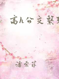 高h公交系列