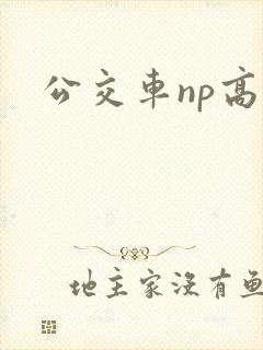 公交车np高h