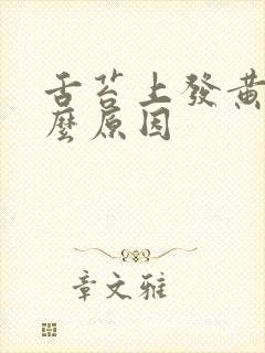 舌苔上发黄是什么原因