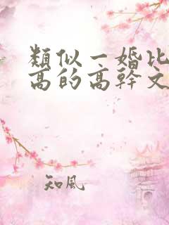 类似一婚比一婚高的高干文