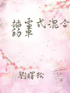 插电式混合动力的车