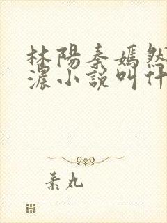 林阳秦嫣然秦墨浓小说叫什么