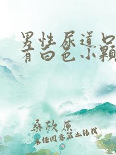 男性尿道口周围有白色小颗粒