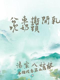 公车撕开乳罩揉吮奶头