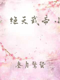 绝天武帝 小说