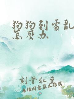狗狗到处乱拉屎怎么办