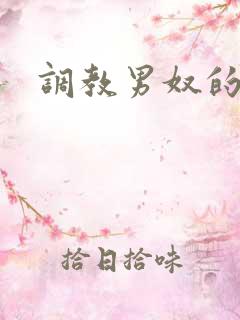 调教男奴的小说