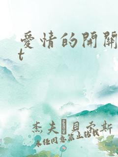 爱情的开关txt