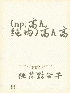 (np,高h,纯肉)高h高辣h