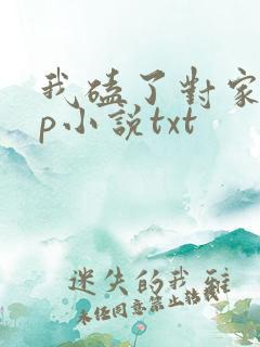 我磕了对家的cp小说txt