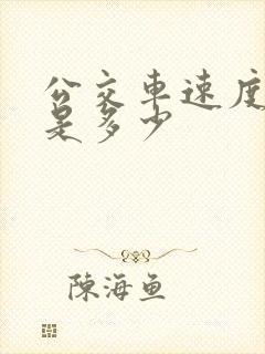 公交车速度一般是多少
